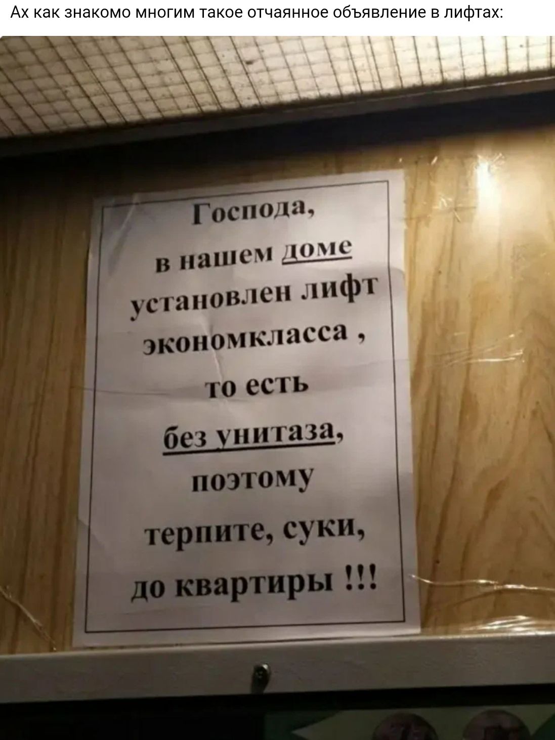 ан антенна в питта и пишем устаиовдпензшфЦ п экономкласса то есть иитаза