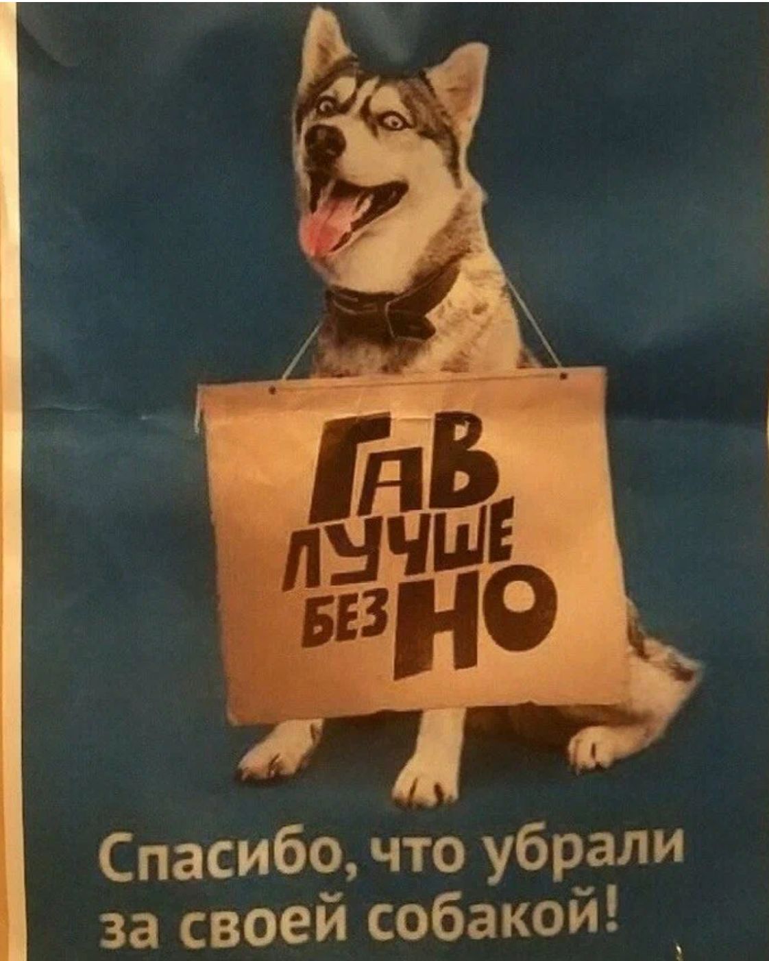 Спасибо что убрали за своей собакой