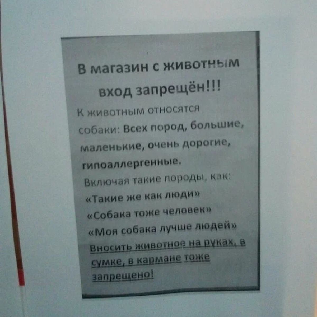 на 5 мтзии животным под пищи типичным относятся ши веси появи ФМШ шип дза логи