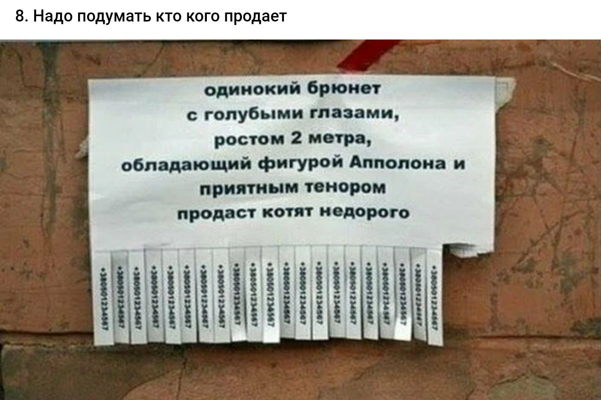 в Нвдп подумшь кот продан е пшубни гии и рипи иии