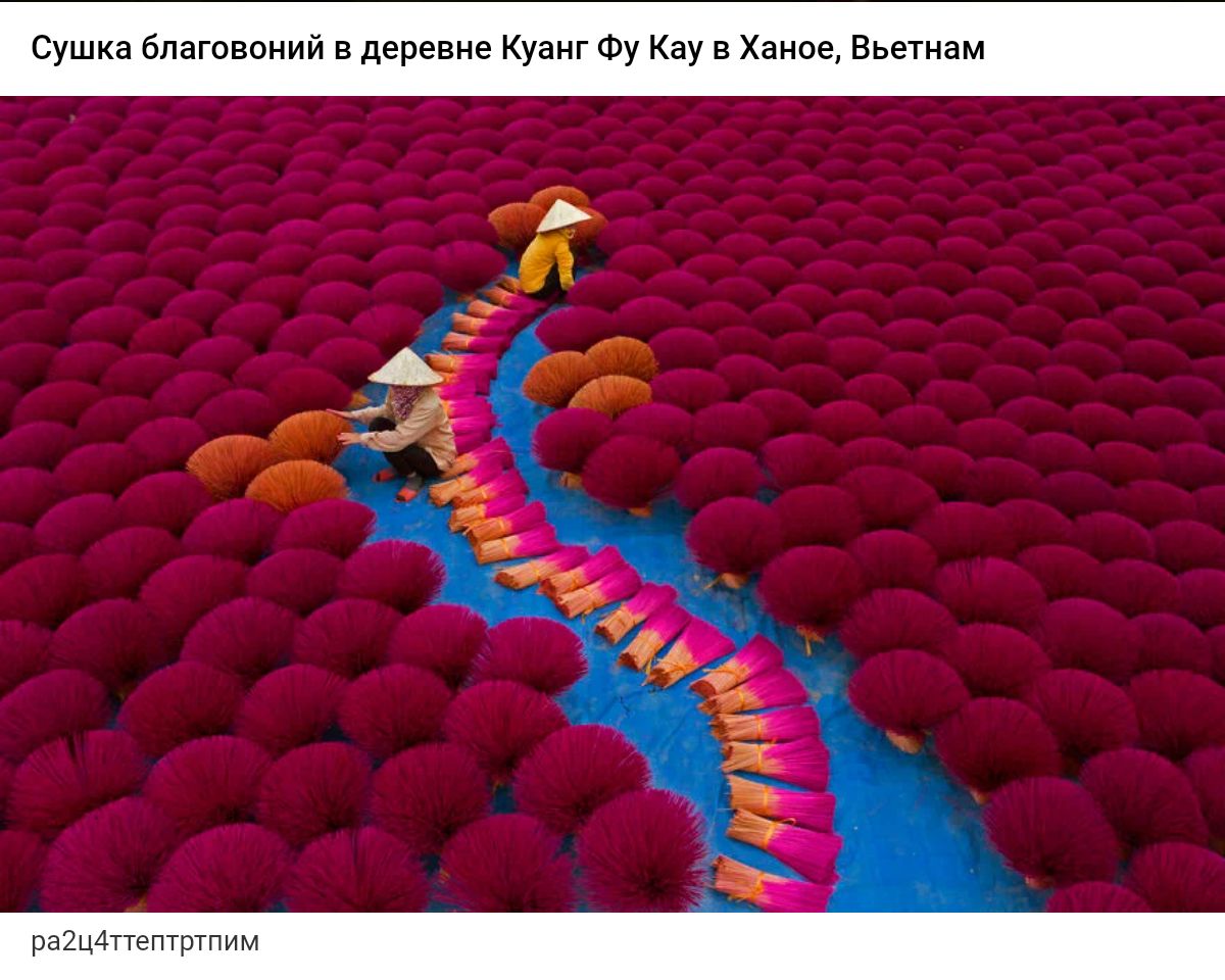 Сушкібпяювои дерев Куангтукаувхана аш Л 13