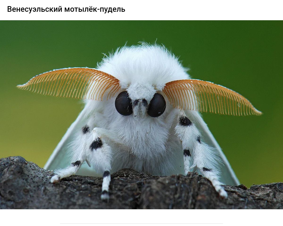 Ееиесуэп ки мо