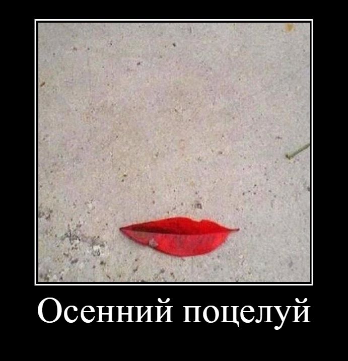 Осенний поцелуй