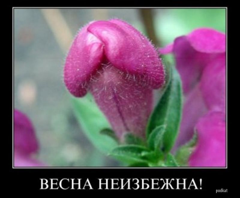 ВЕСНА НЕИЗБЕЖНА