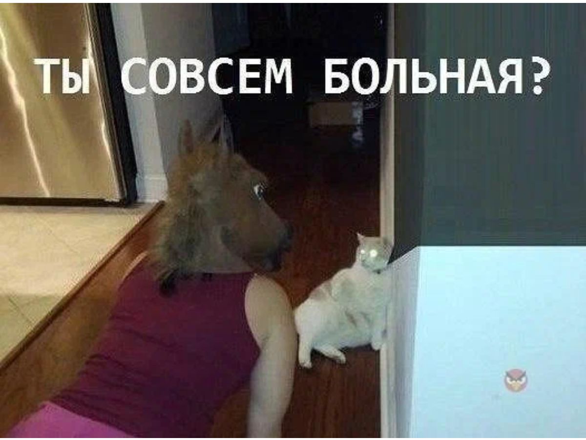 тьй ВСЕМ БОЛЬНАЯ 1