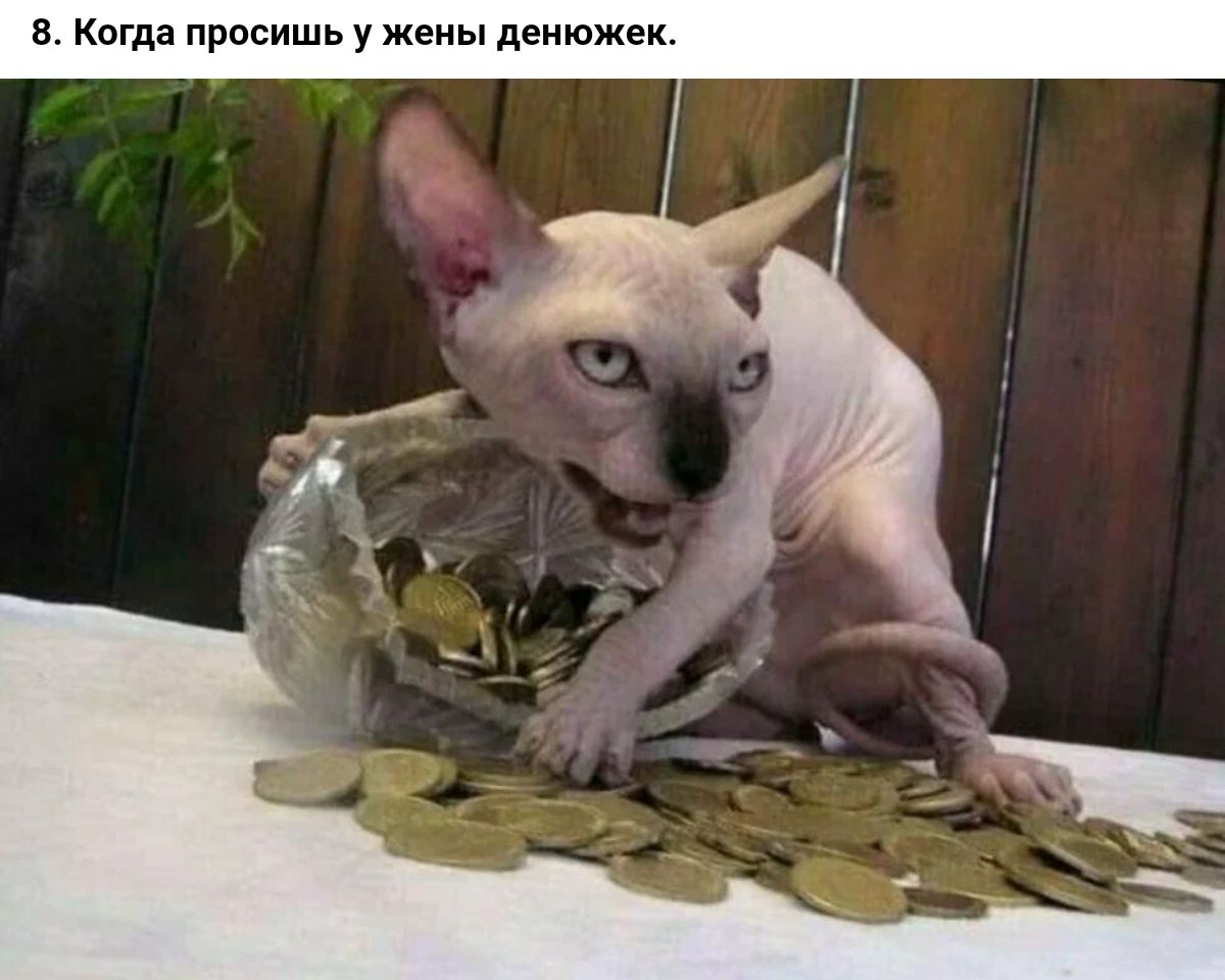 в Когда просишь у жены деиюжек