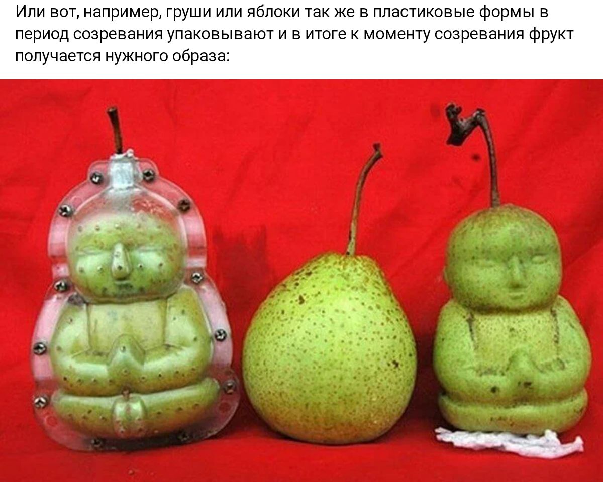 Или вы напрпмРп пищи или чтг ии т плагтшшыю томы в Пгрпшдшзргьиппиудапциыазюгиь ты ну в ад нина вп