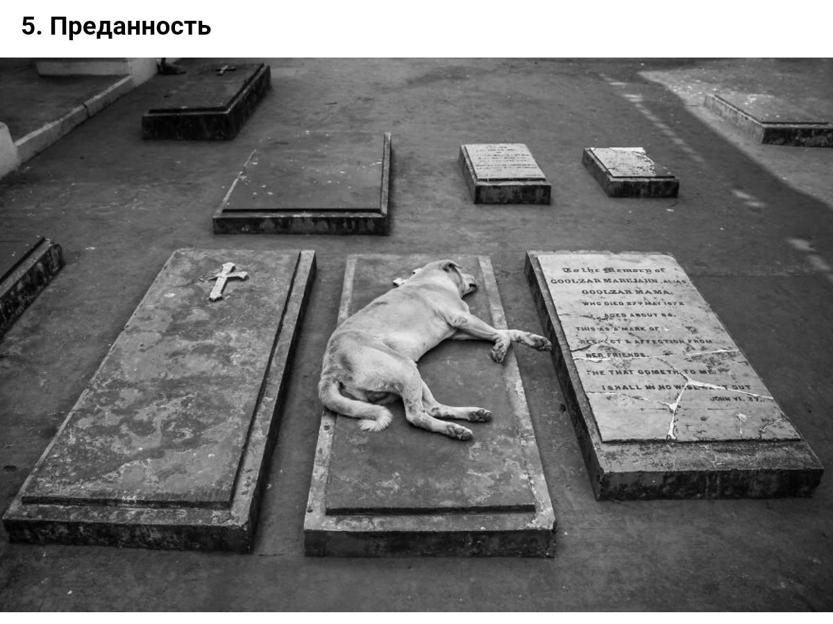 5 Пришить