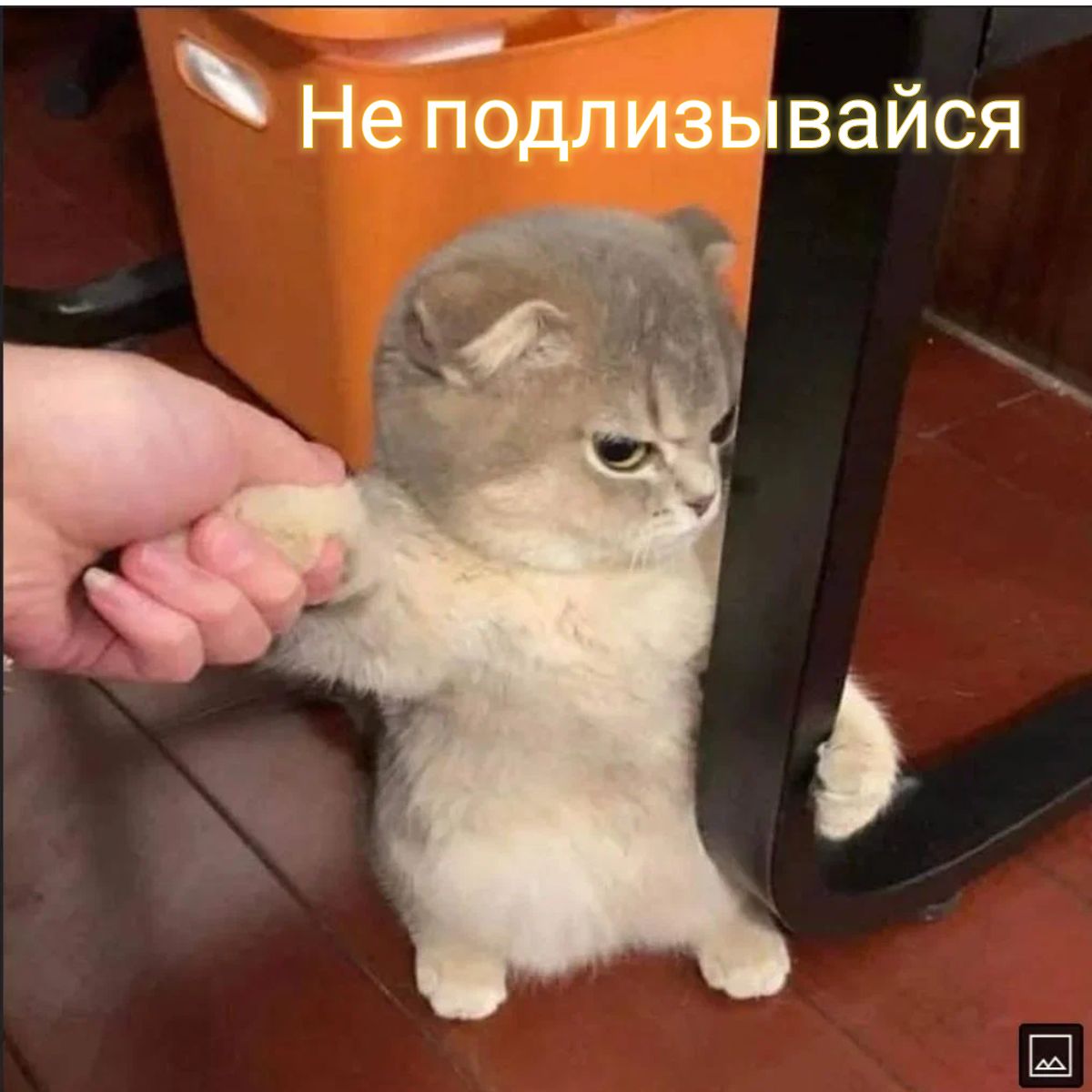 _ Не подлизываися