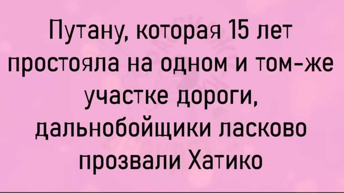 Путану которая 15 лет простояла на одном и томже участке дороги дальнобойщики ласково прозвали Хатико