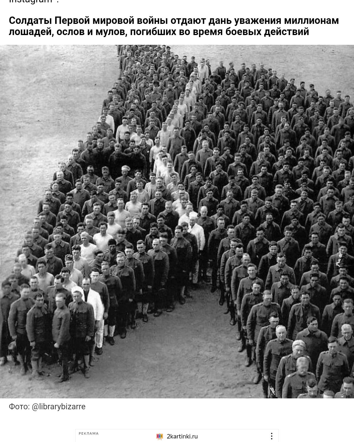 Сплдыы Пер мировой ппйны мда дань уважения миллионам лошадей если МУшц псгиБших не время бан ых действ