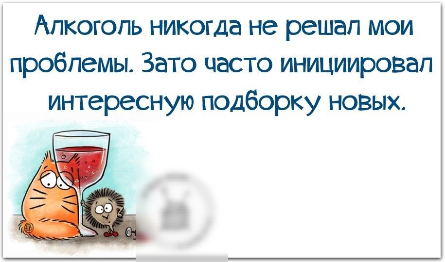 Алкоголь никогда не решал мои проблемы Зато часто инициировал интересную подборку новых