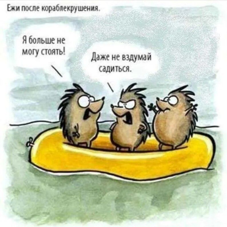 Ежи типе кораблекрушения Ябопьше не МШ даж не пдушй