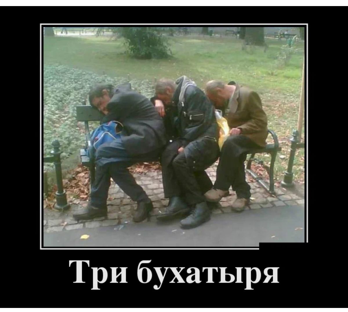 Три бухатыря