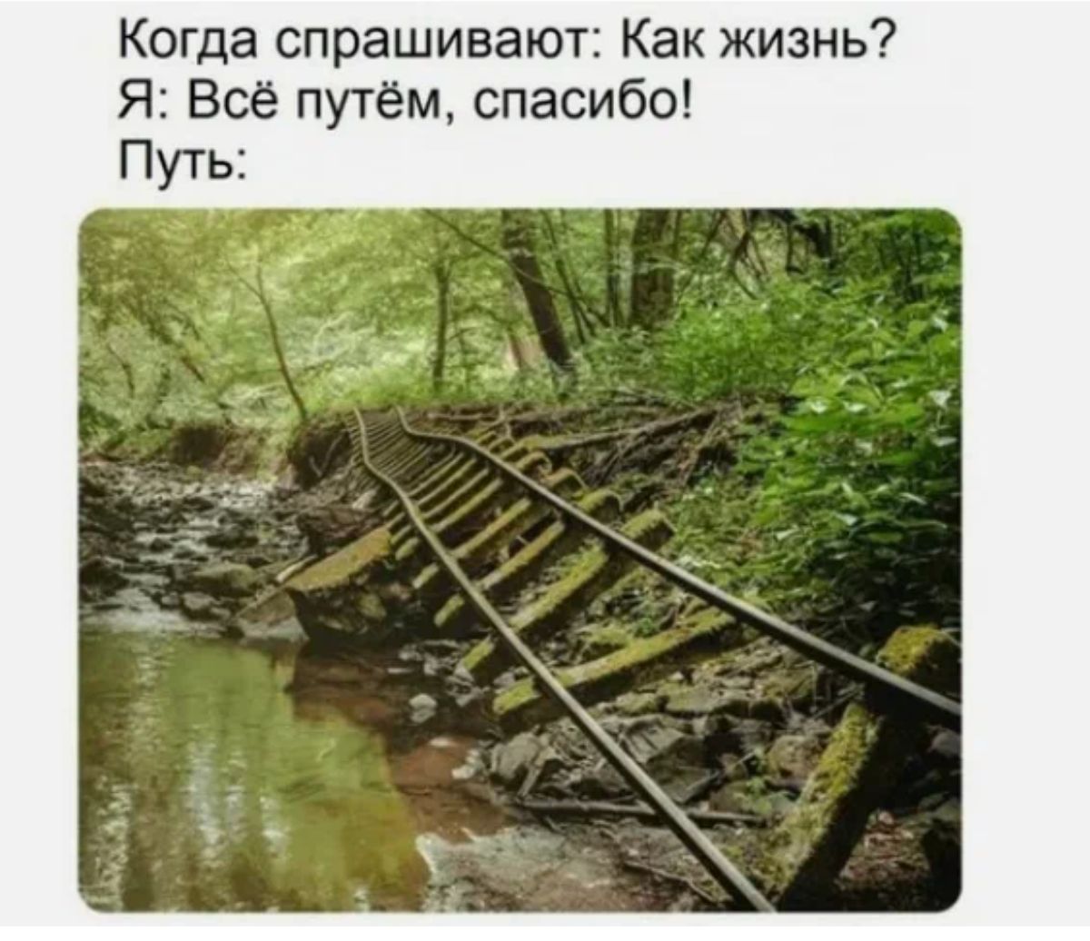 Когда спрашивают Как жизнь Я Все путём спасибо Путь