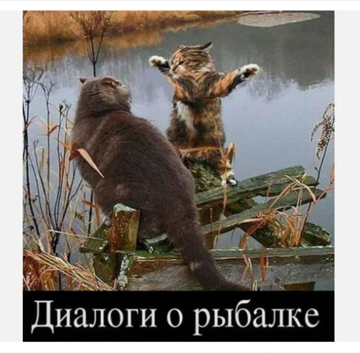 __ Диалоги 0 рыбалке
