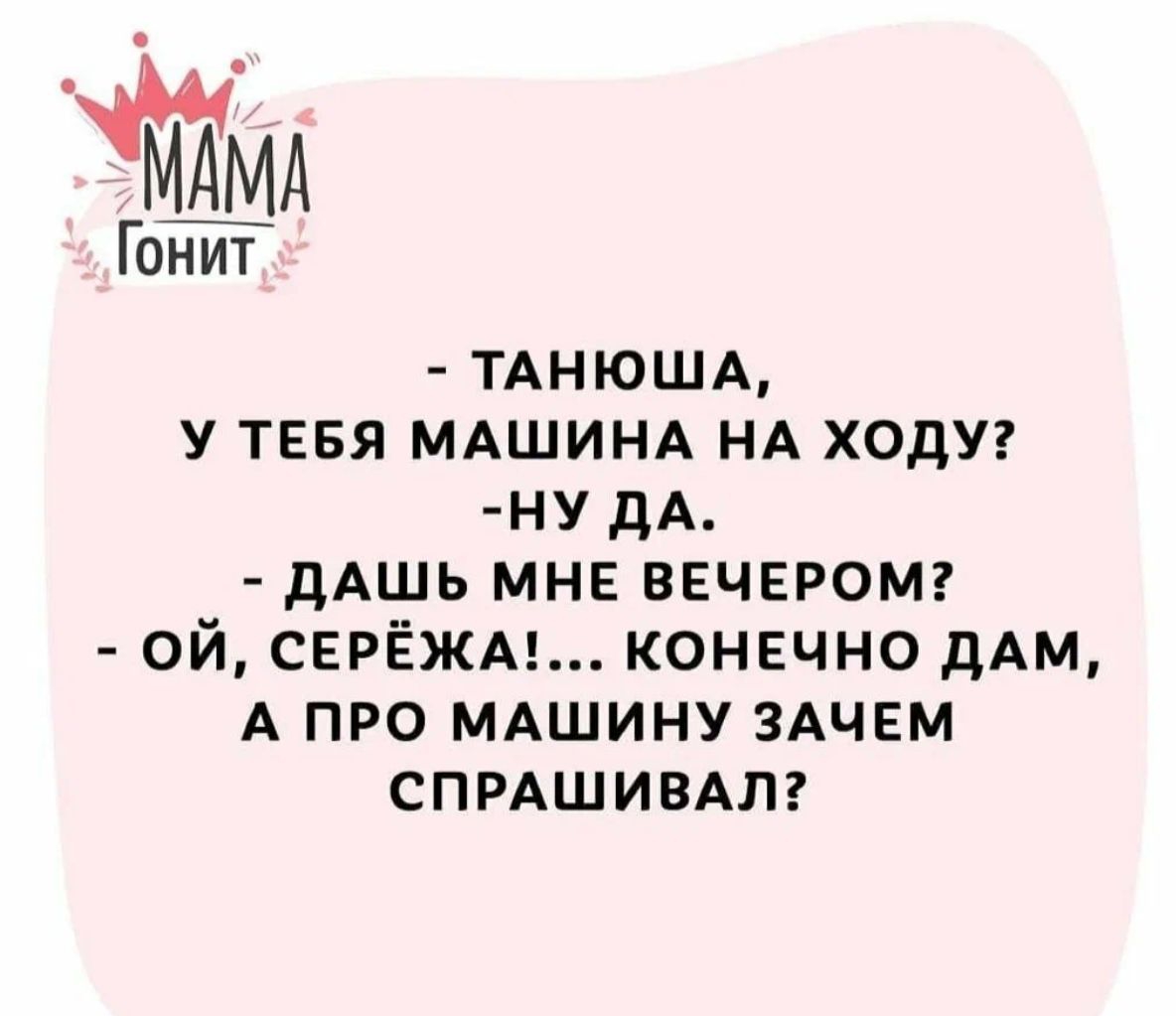 Если вам ВдРуг покажепя что в мире не осталось НИЧЕГО прекрасного ТО ПРОПО  ПОСМОТРИУЕ на фото шотландских пони в свитере - выпуск №1798058