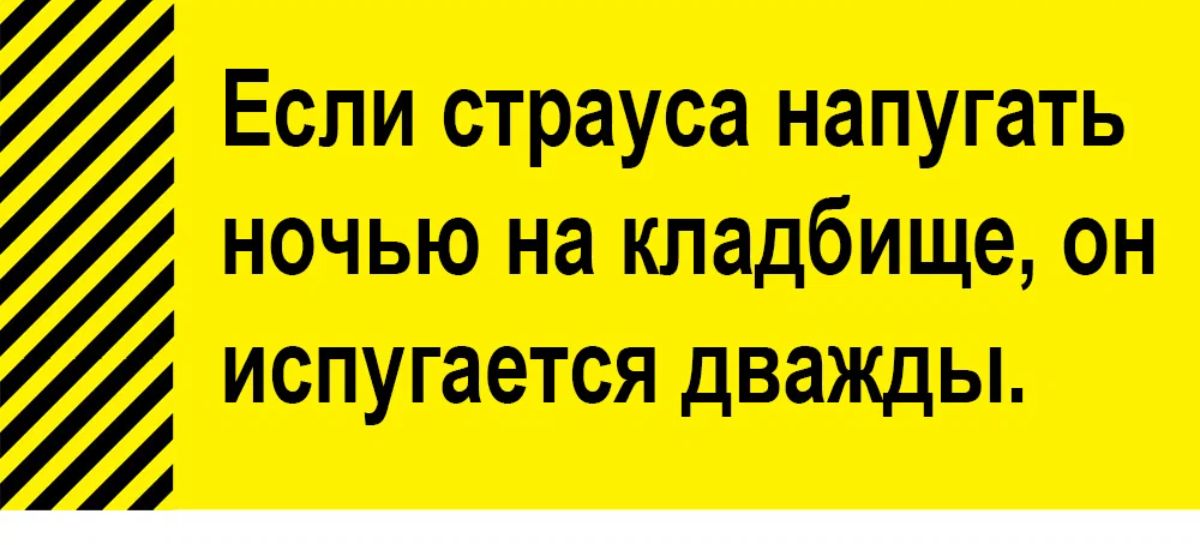 Если страуса напугать ночью на кладбище он испугается дважды