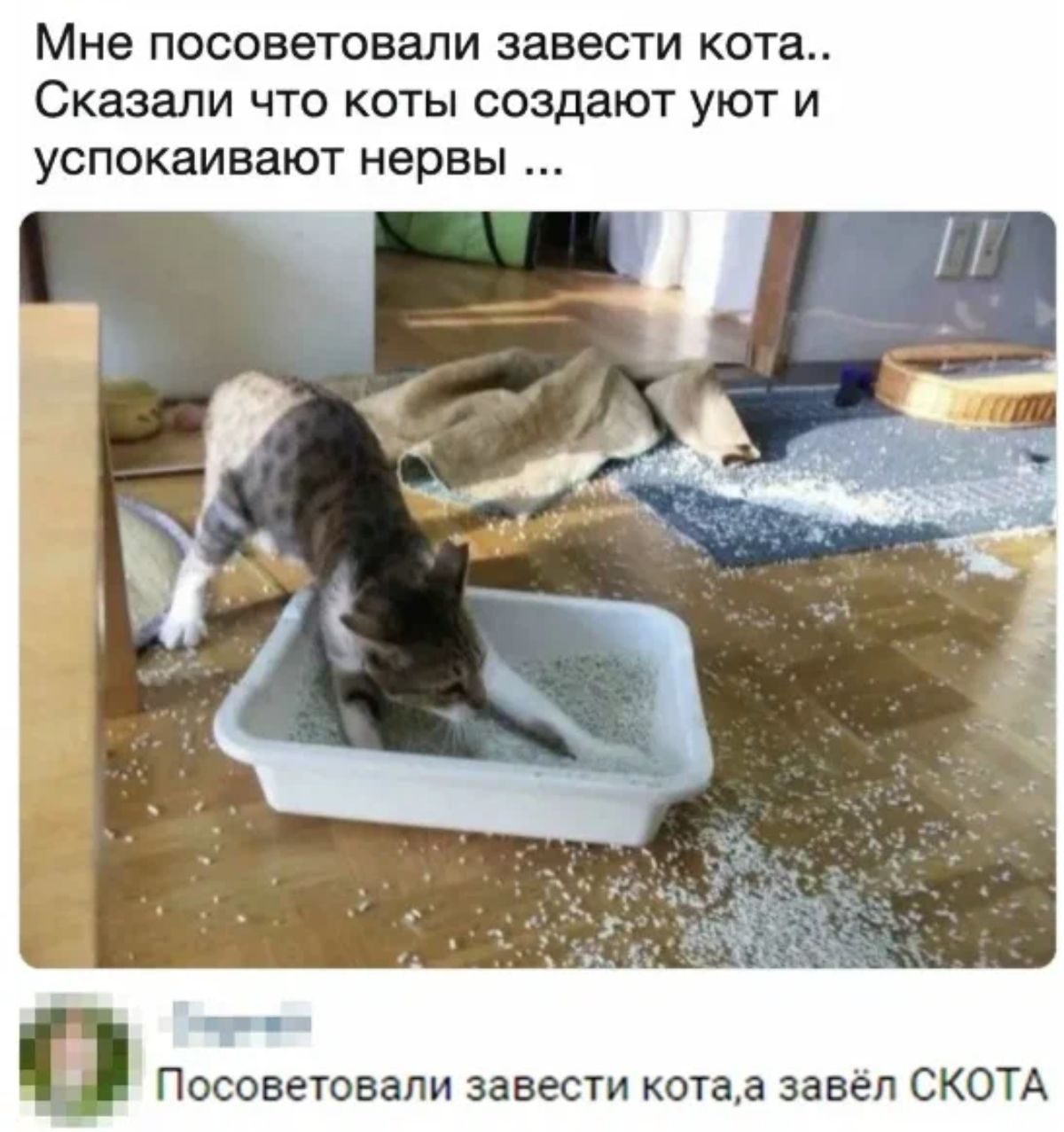 Заведи домой