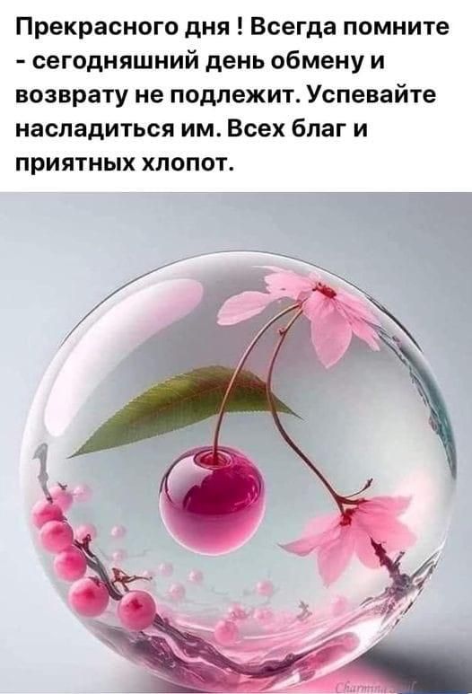 Прекрасного дня Всегда помните сегодняшний день обмену и возврату не подлежит Успевайте насладиться им Всех благ и приятных хлопот