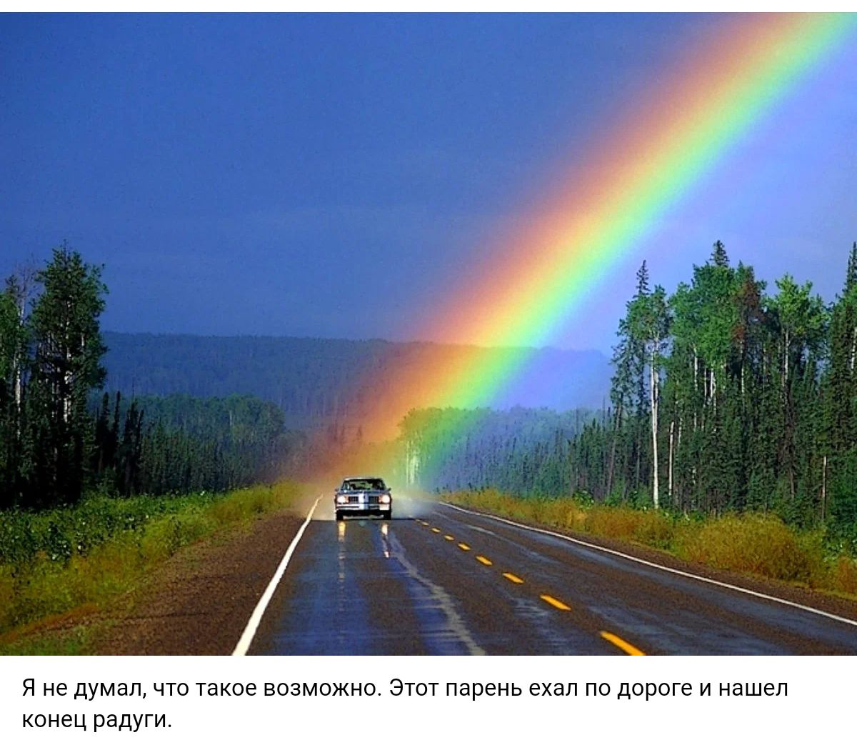 Чнгдумадчтнткв мне Эштмрнньеьзлпа дирвгеинашы кан ра