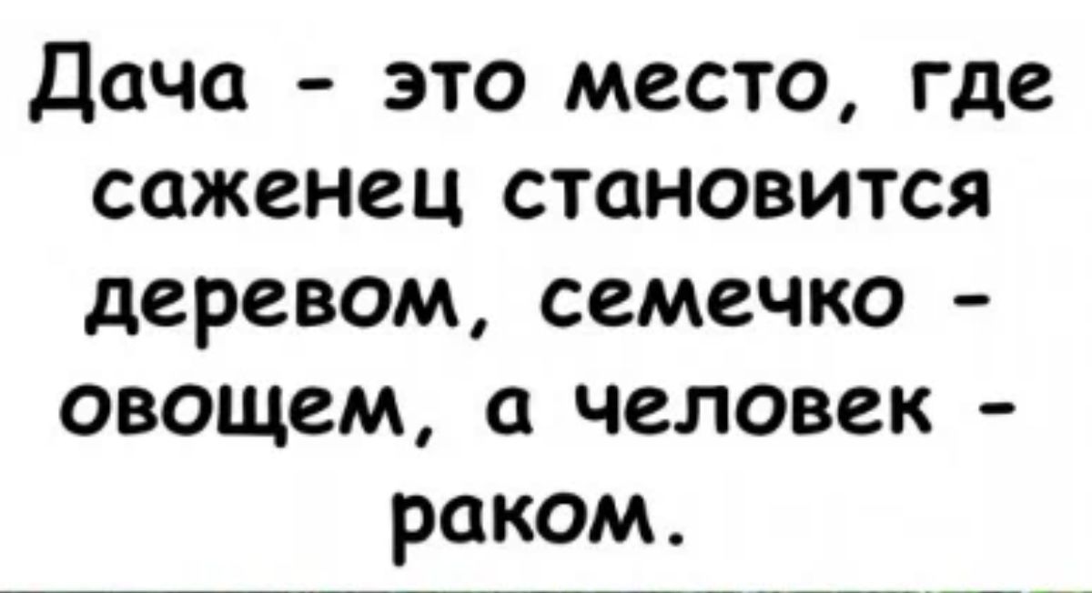 Дача это место где саженец становится деревом семечко овощем человек раком