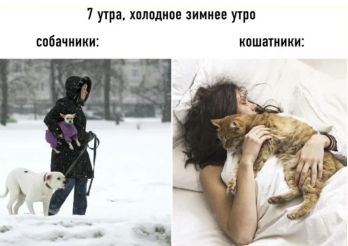 7 утра холодное зиииее угри собачииии ипшниики