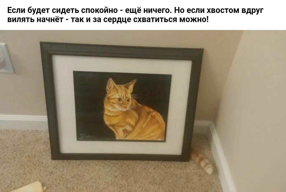 в силен спокойно еще но хватом вдру вилять лчиеР и за сьпдце схватиться можив