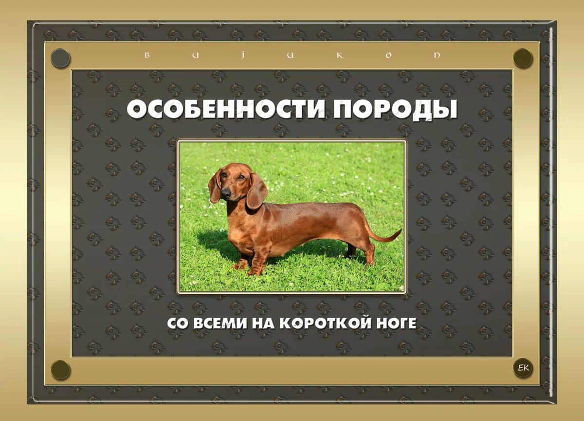 СО ВСЕМИ НА КОРОТКОЙ НОГЕ
