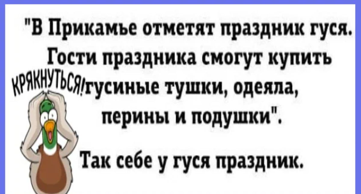 В Прикамье отметят праздник гуси Расти праздника смогут купить кнутьсЯгусииые тушки одеяла принц и подушки Так себе у гуси праздник