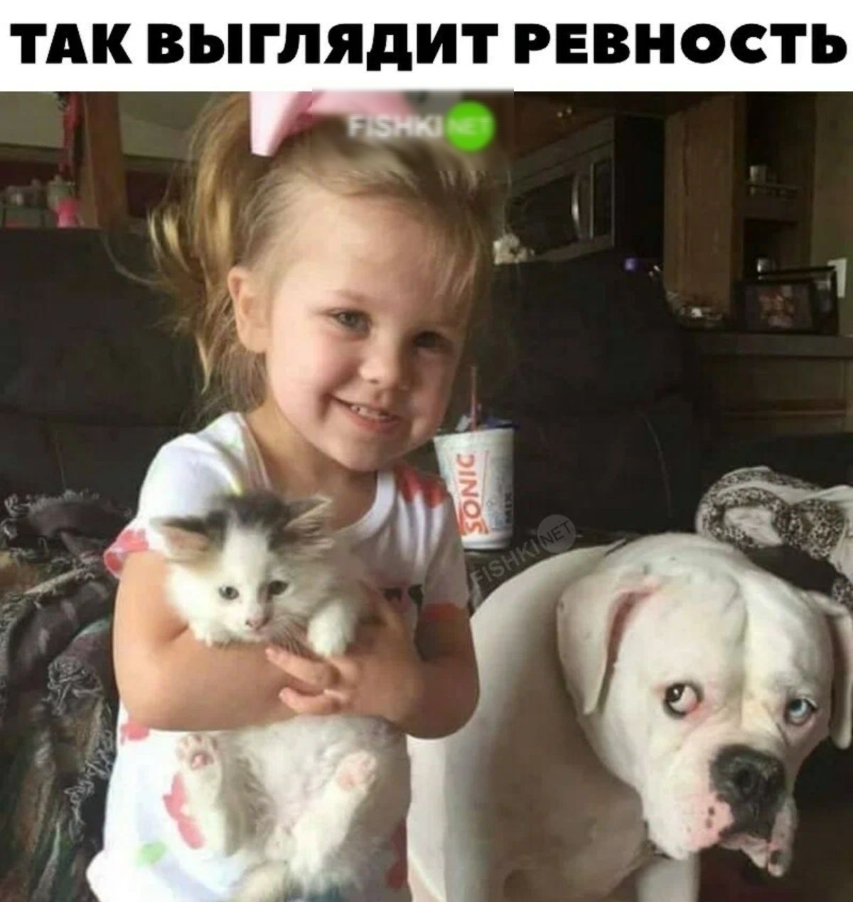 ТАК ВЬГЛЯДИТ РЕВНОСТЪ