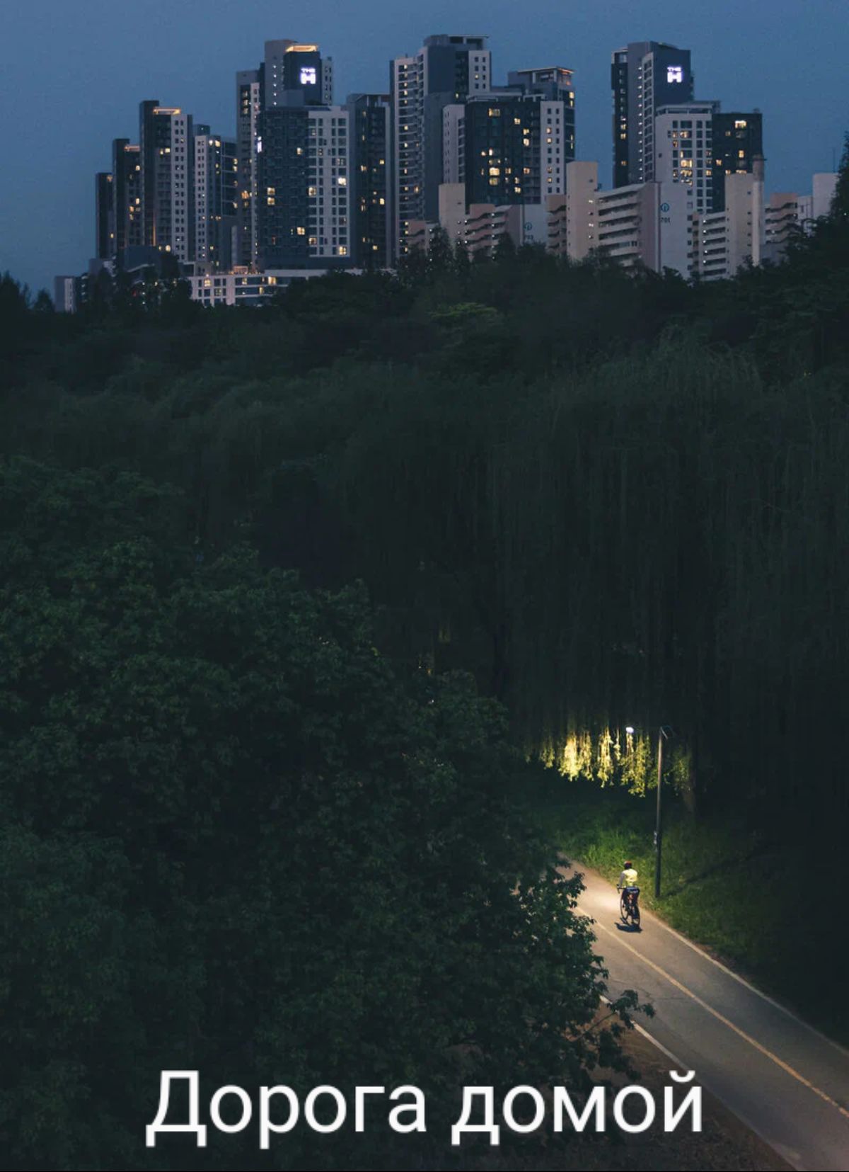 Дорога домЪ