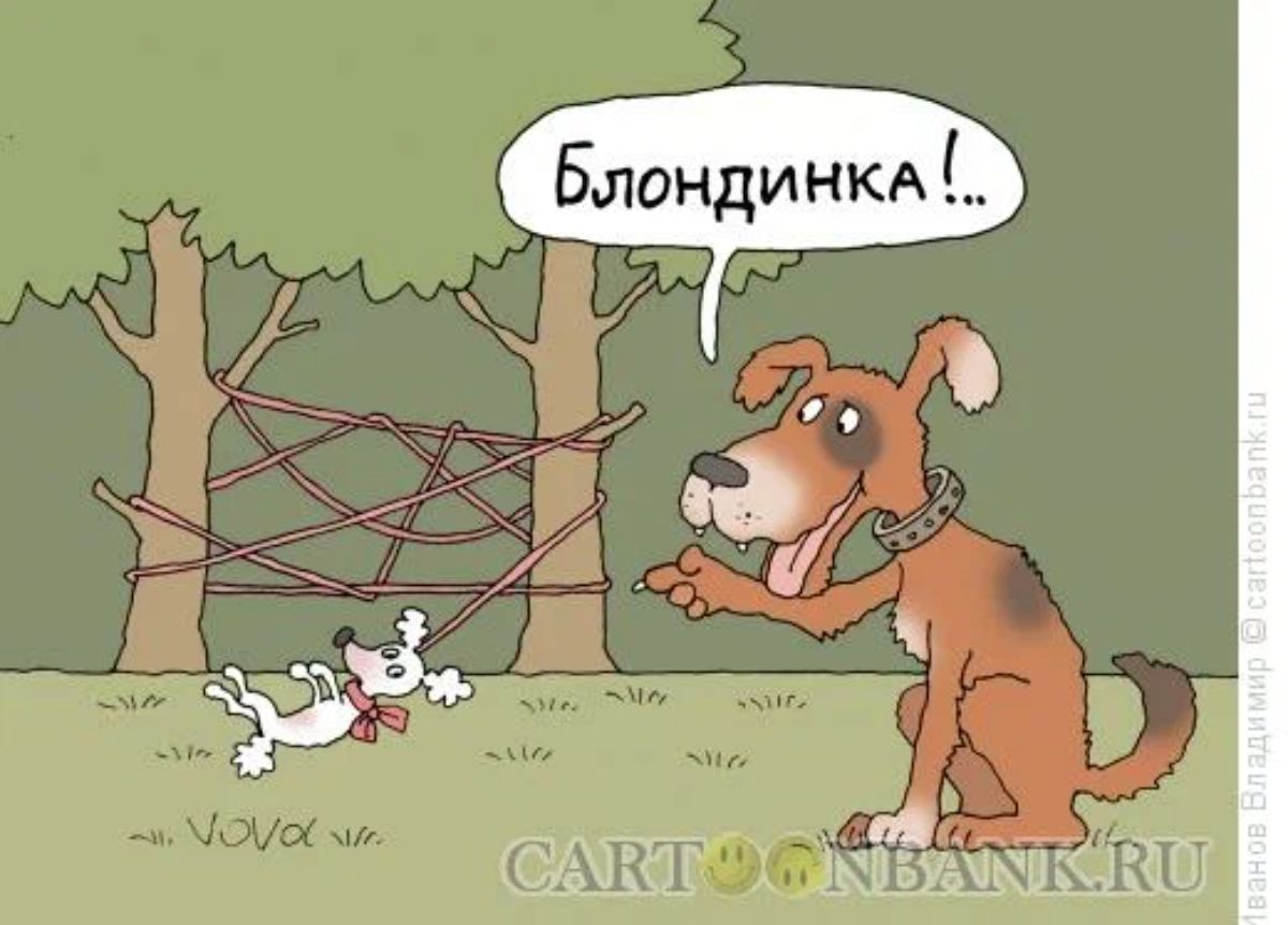 О и г