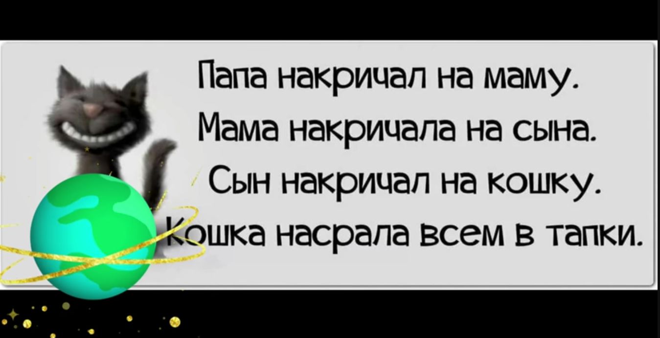 Сын накричап на кошку дошка насрапа всем в тапки Папа накрицап на маму Мама накрицапа на сына