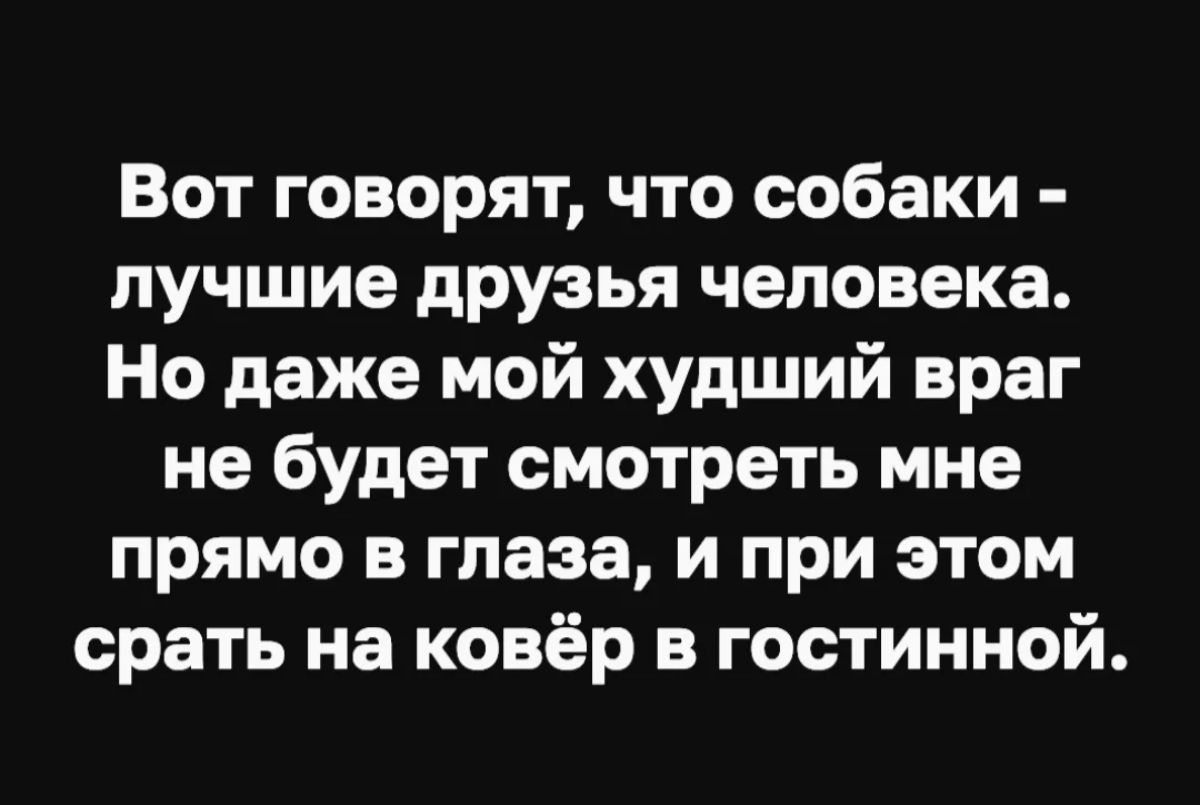 Вот говорят что собаки лучшие друзья человека Но даже мой худший враг не будет смотреть мне прямо в глаза и при этом срать на ковёр в гостинной