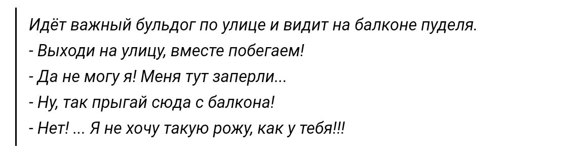 и важный бульдог на улице и видиг на белизне пуделя Выхпди на улицу вмест ппбегзем ди не могу п Меня гут заперли ну так Прыгай сюда с балконы нет я не хочу такую режу как у тебя