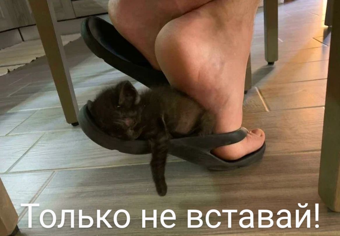 йе вставай