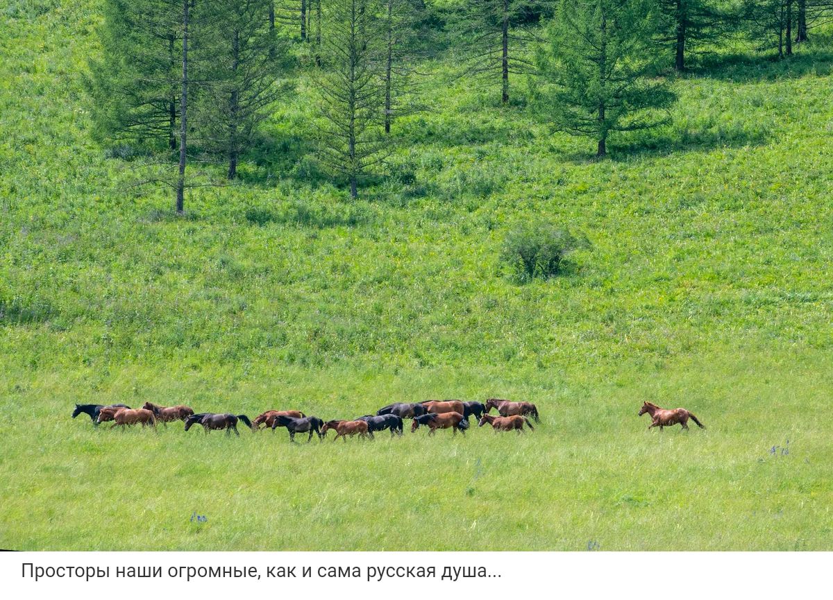 русская душа
