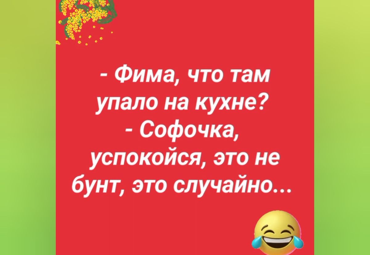 Фима что там упало на кухне Софочка успокойся это не бунт это случайно _О