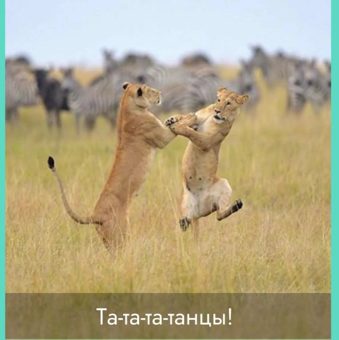 Та та та та н цы
