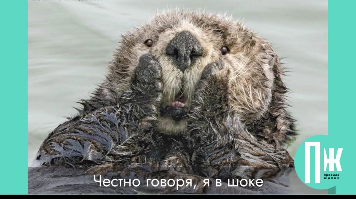 е к 0 Ш в я Я 9 о в т о т с е Ч