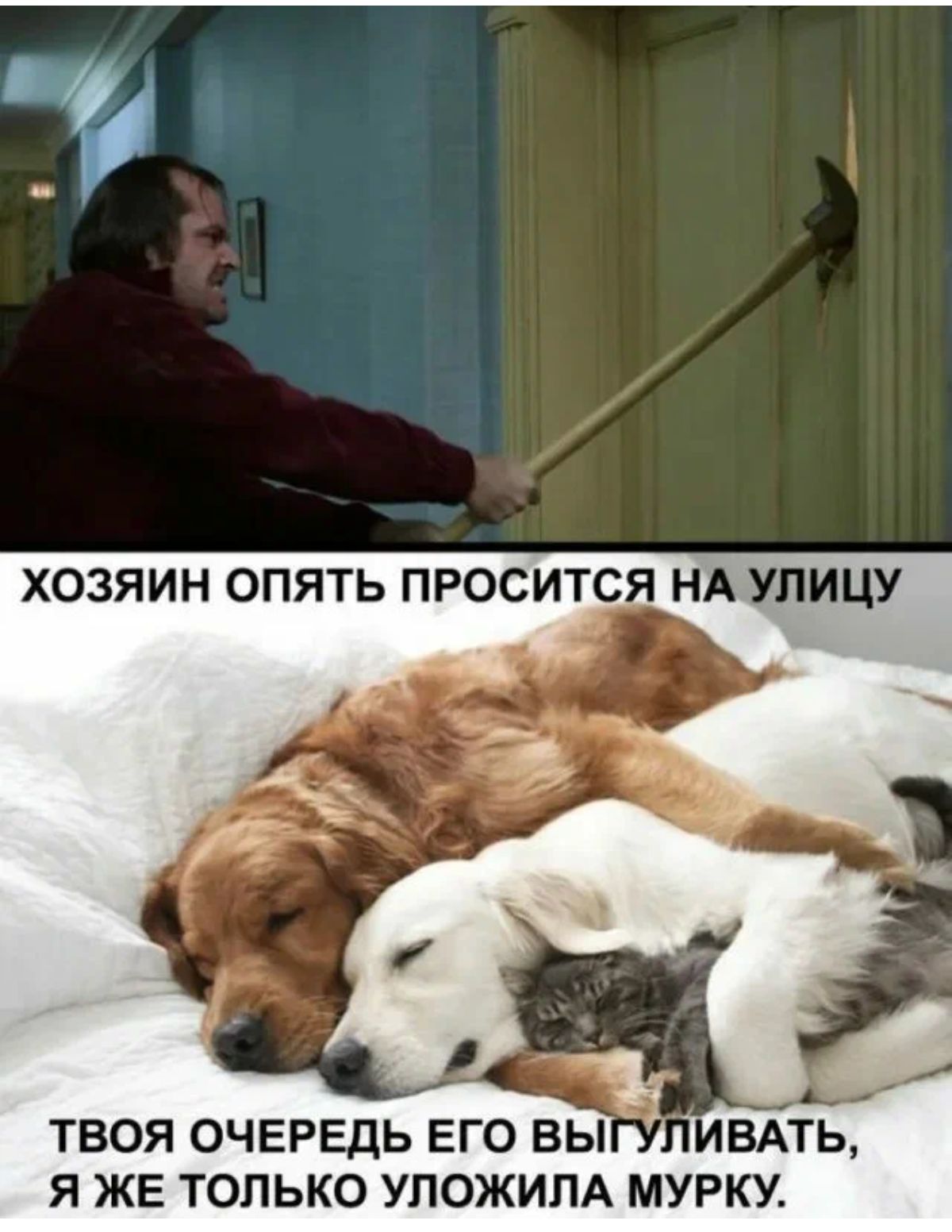 ХОЗЯИН ОПЯТЬ ПРОСИТСЯ НА УЛИЦУ Я ЖЕ ТОПЬКО УПОЖИПА МУРКУ