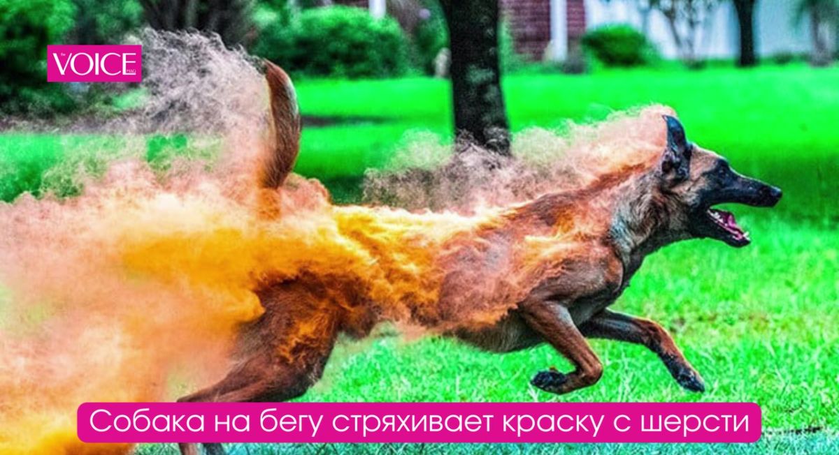 _чыцшь цгцщр5ь1г_1ыШирли