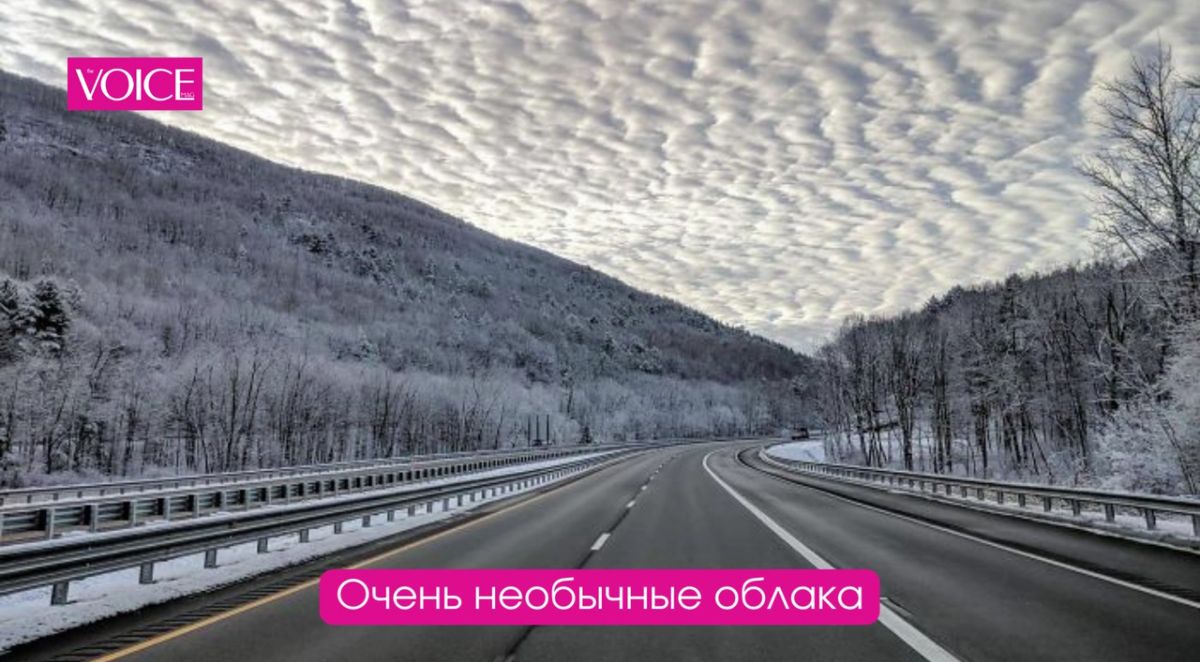 М