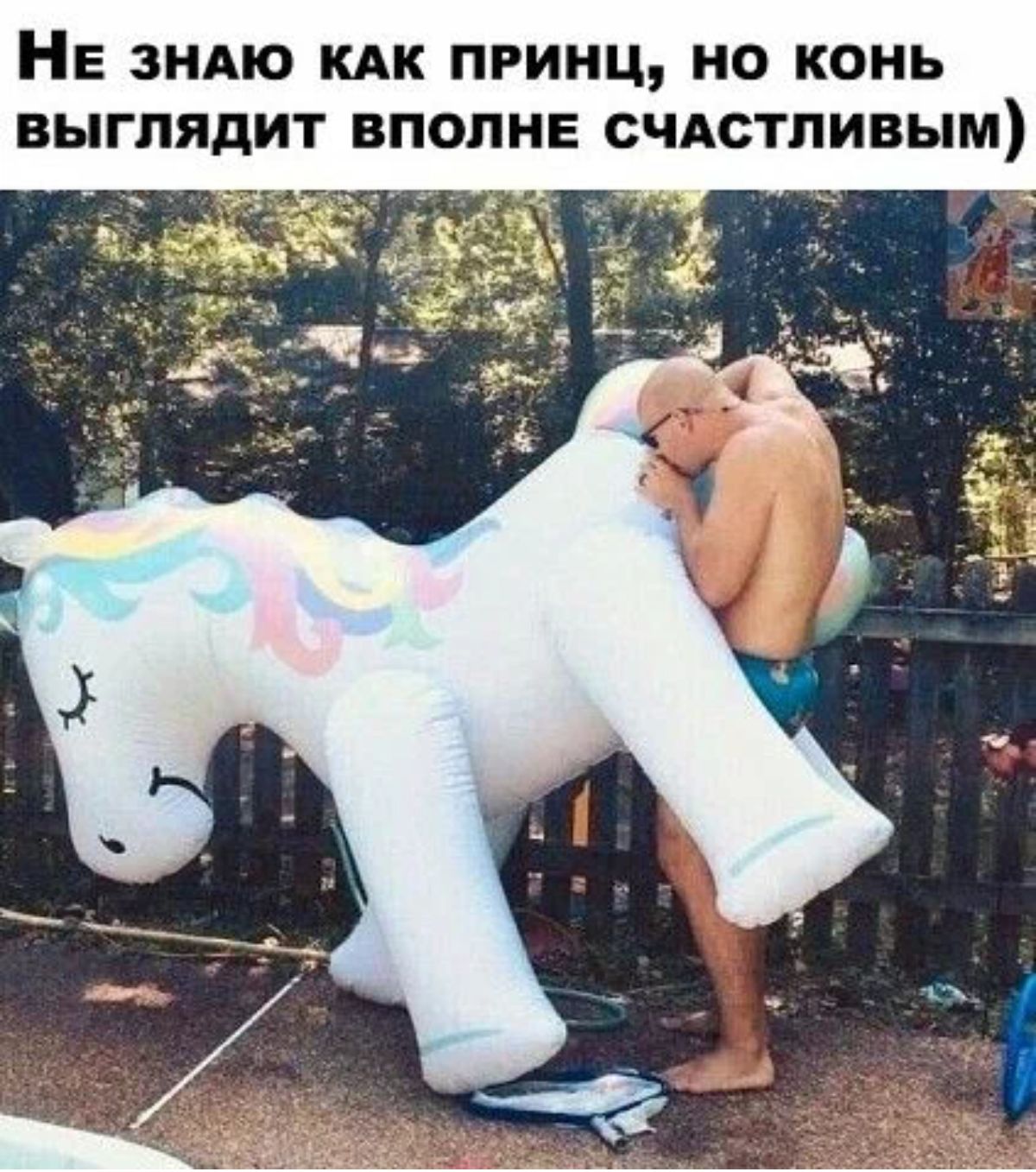 НЕ знмо кАк принц но конь выглядит вполне счдстливым