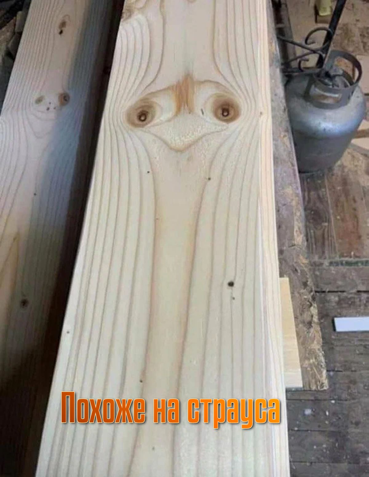 і Н щн щицтт МУ
