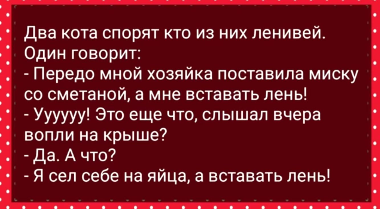 два кота спорят кто из них ленивей Один говори Передо мнои хозяйка поставила миску со сметаной а мне вставать лень Уууууу Это еще что слышал вчера вопли на крыше Да А что Я сел себе на яйца а вставать лень