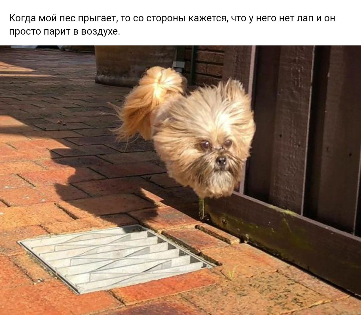 кпгдампип Ппыгэгптпгпгтрпныкл пдпипн при пввшдщ