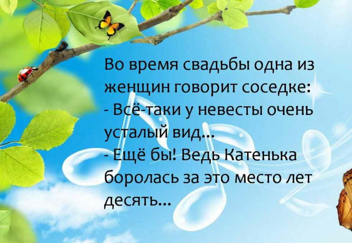 Во время свадьбы одна из женщин говорит соседке Всётаки у невесты очень усталый вид Ещё бы Ведь Катенька боролась за это место лет десять