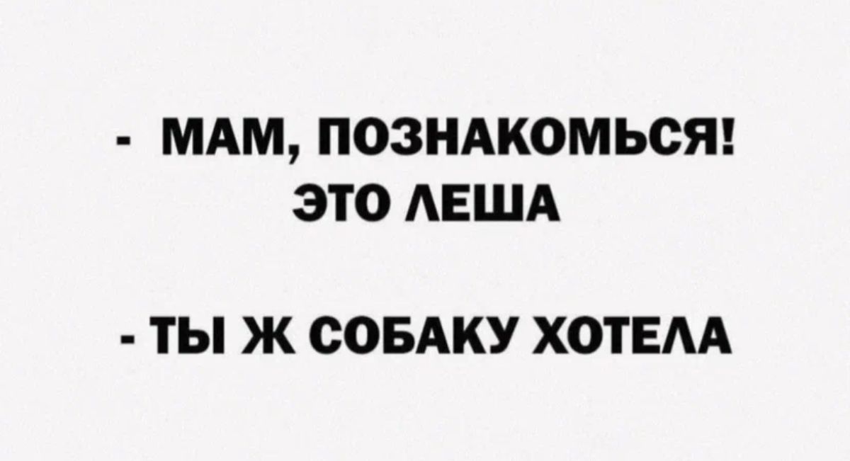 МАМ ПОЗНАКОМЬОЯ ЭТО АЕША ТЫ Ж соБАКУ ХОТЕАА